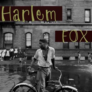 Harlem fox